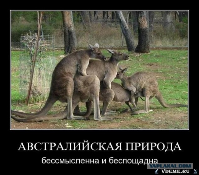 Утренняя пробежка