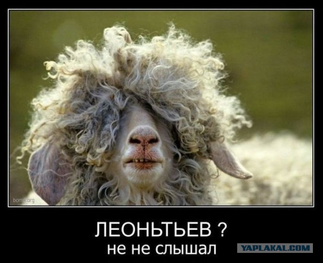Картинки из сети на понедельник