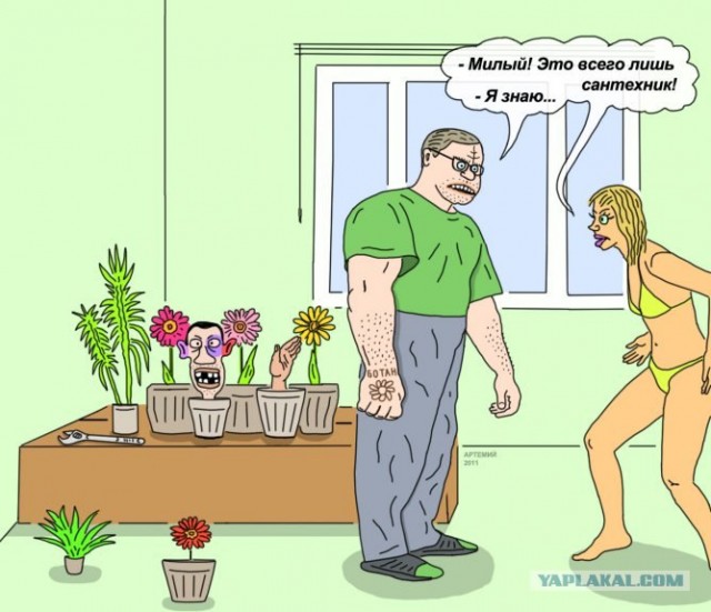 Сантехника вызывали?