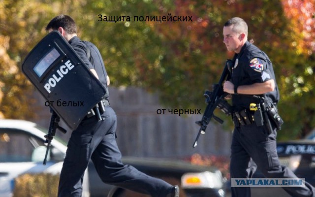 Истинная сущность полицейского Попова