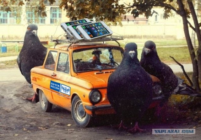 Ну теперь все ясно