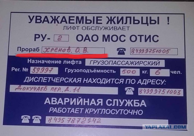 Когда фамилия и профессия созданы друг для друга