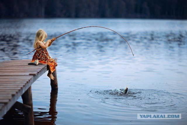 Подборка картинок