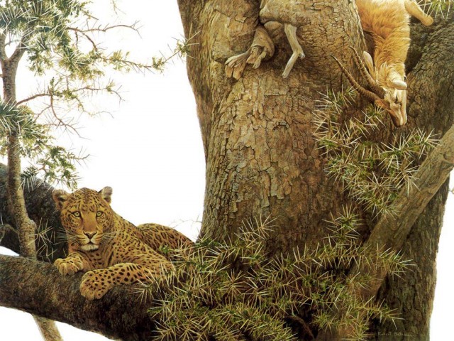 Рисованное зверьё