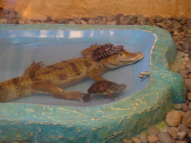 Интересные и веселые картинки