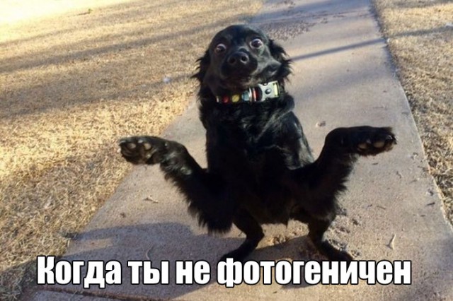 Подборка интересных и веселых картинок