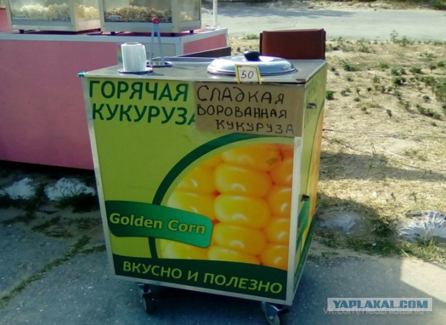 Картинки всякие для поднятия настроения