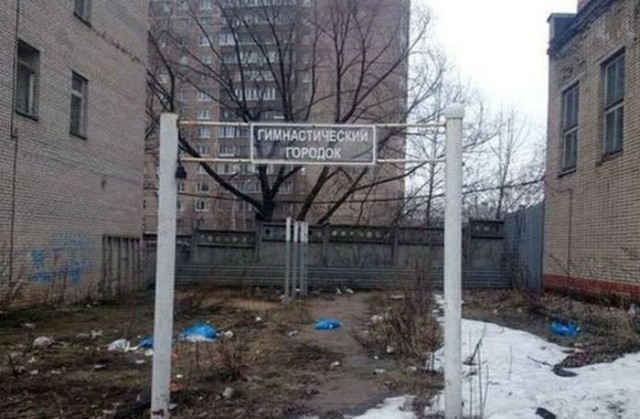 Весёлые картинки