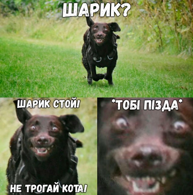 Wargaming 49