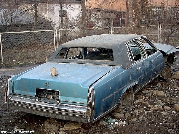 Невероятные приключения американцев в России