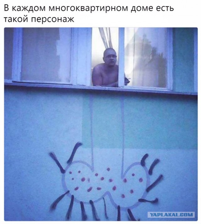 Немного картинок на сегодня