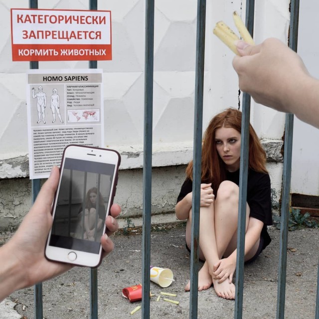 Лента прикольных картинок