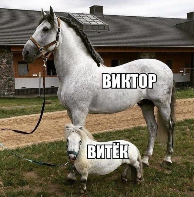 Картинки разные, хорошие и не очень