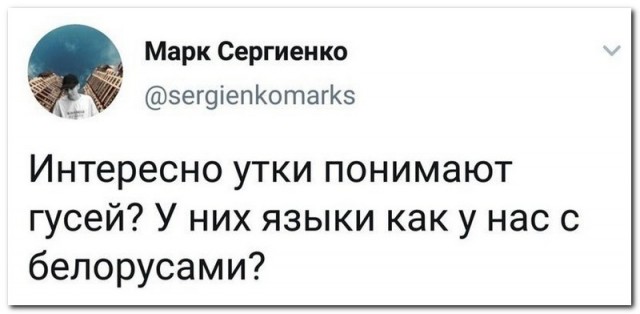 Забавные комментарии из социальных сетей 26.11.19