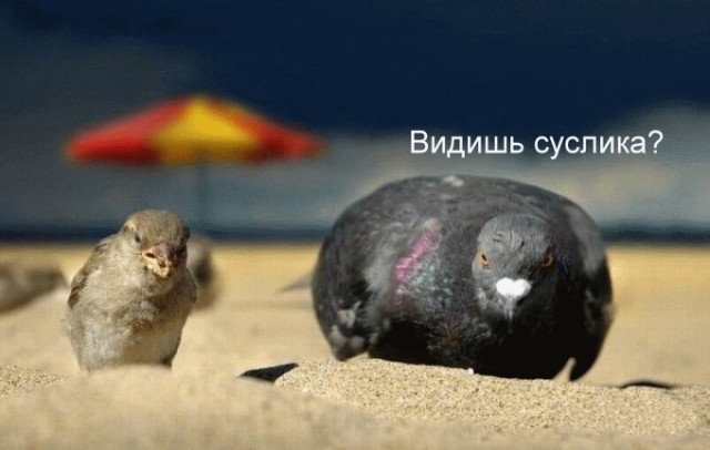 Диалог