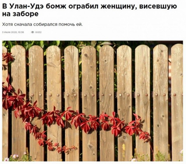 Прикольных фото пост