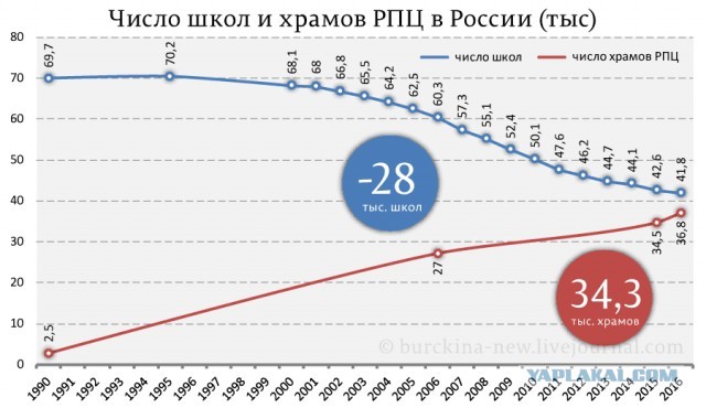 История моего коронавируса. Система, которая не работает