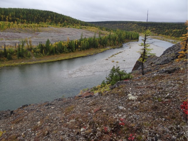 Где-то на Урале лес заменяет людям небо
