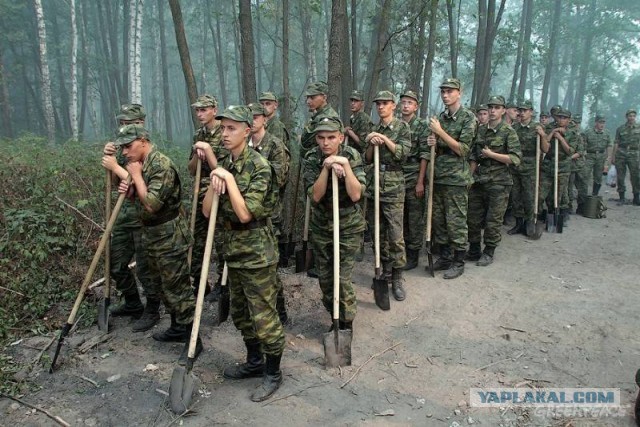 Элитные войска мира: как фантастические пришельцы из космоса