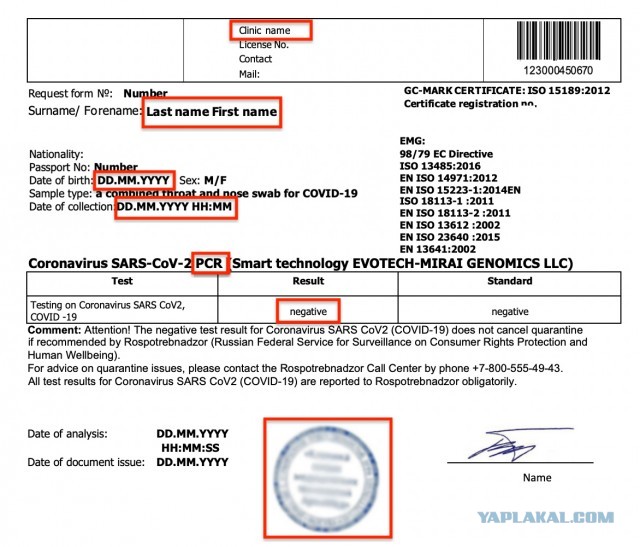 У иностранного таможенника «округлились глаза» от ковид-справки белгородки