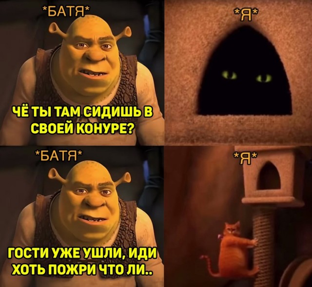 Весёлый полтишок 22.04