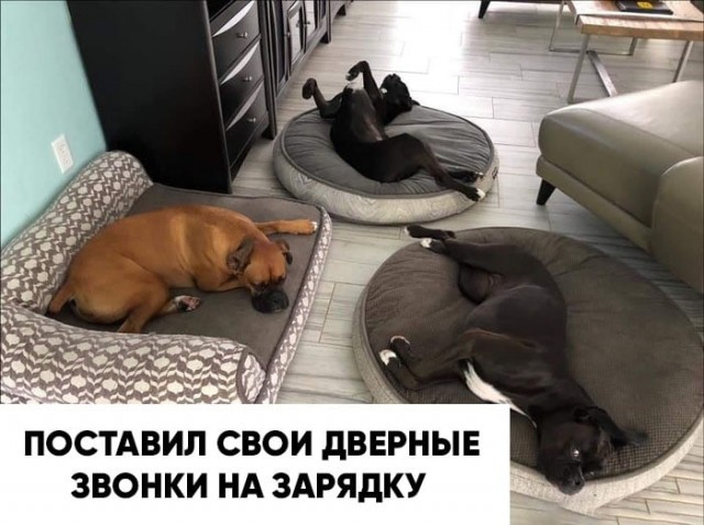 Картинки и мемы для настроения 27.04.2021