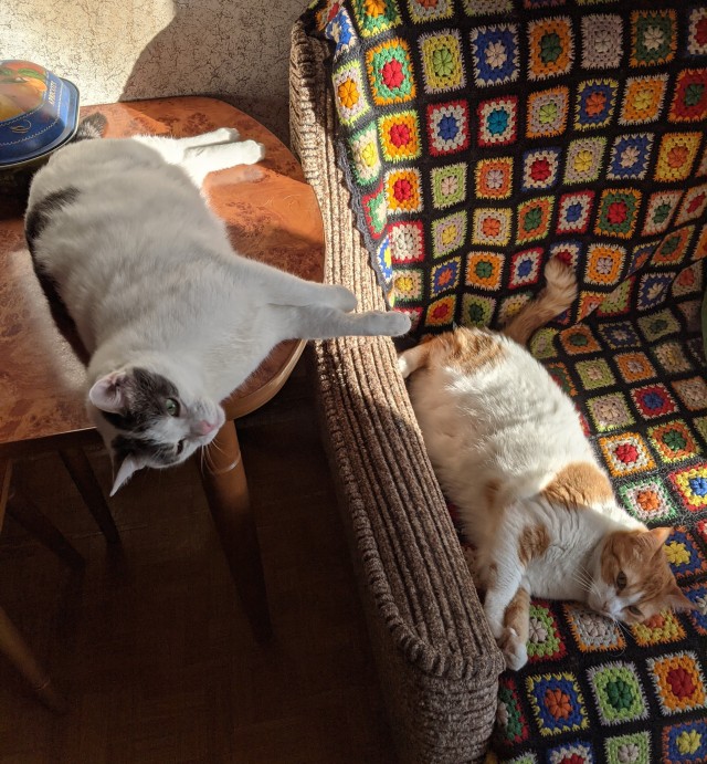 Вторник-кото