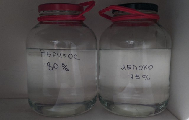 Запрещённое в России ремесло, которое разрешено во всём мире. Почему все страны боятся, что его у нас разрешат