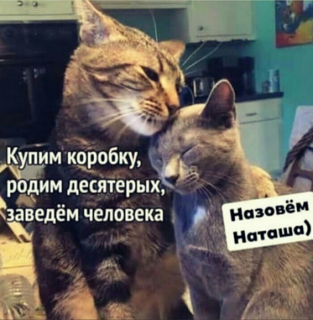 Картинки с надписями и всякие жизненные фразы 25.05.21