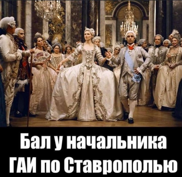 Весёлый полтишок 21.07