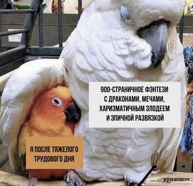 Мемасики для ЯПовцев - Часть 1