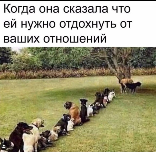 Не очень адекватный юмор