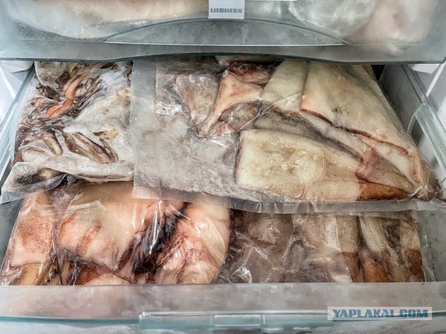 Люблю кальмаров:) и салат из них