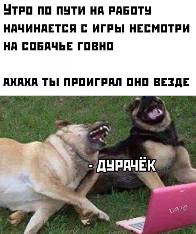 Весёлый полтишок 28.03.22