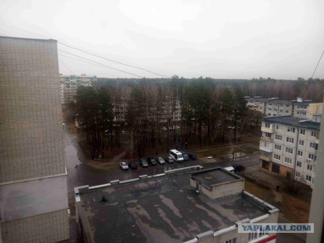 А какая у Вас сегодня весна за окном?!