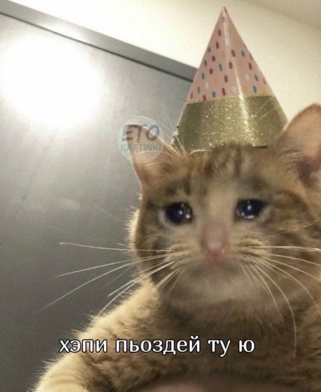 ЯПу 18!