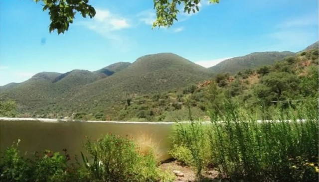 18 фото, на которых нет ничего необычного. Если не начать всматриваться