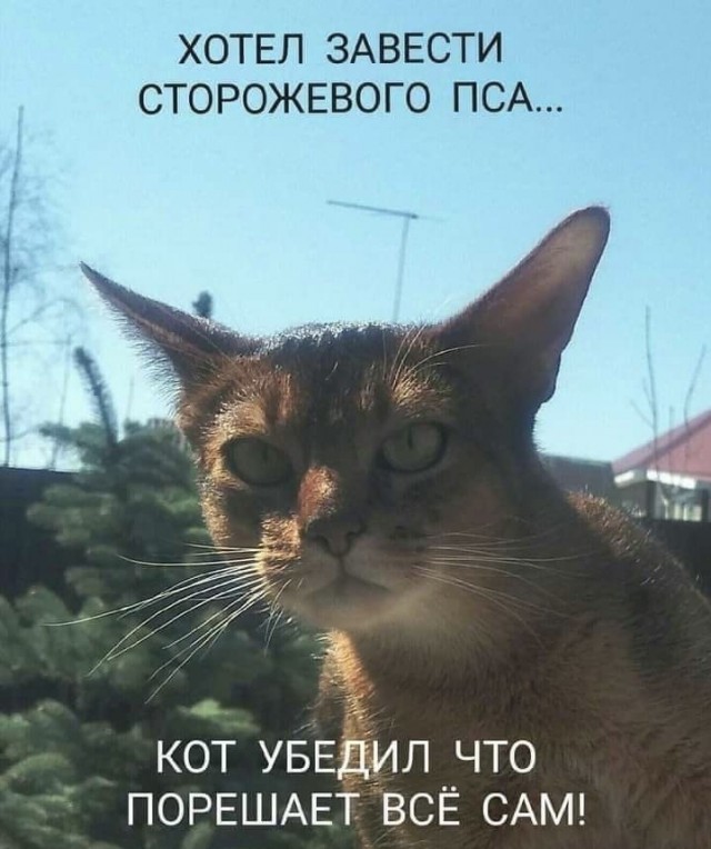 Так себе картинки 17.07.22