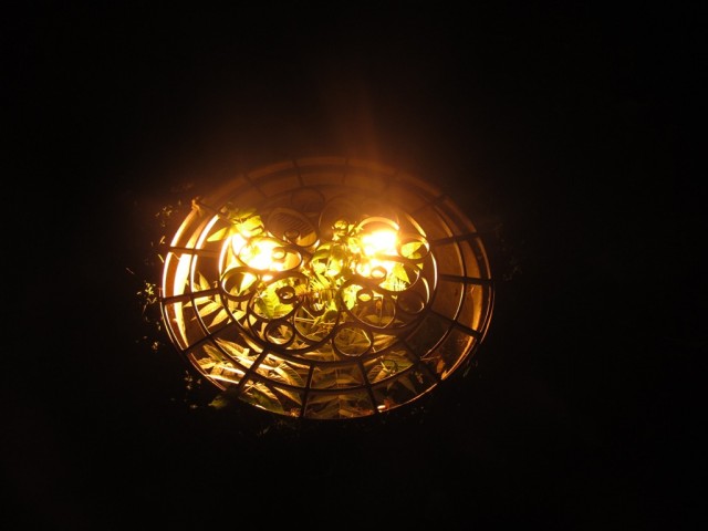 Мечты сбываются