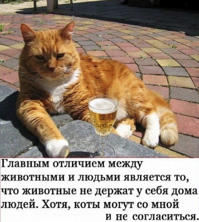 Картинки и мемы для настроения - 119