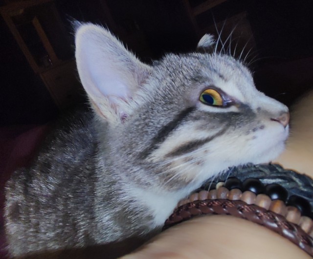 Жрешь?