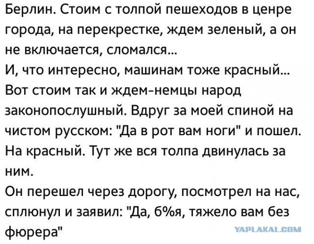 Небольшой отрывок из репортажа Die Welt