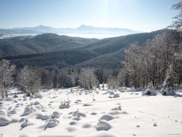 Курорт Буковель (Украина, Карпаты)