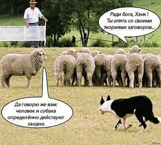 Хозяева Ватикана