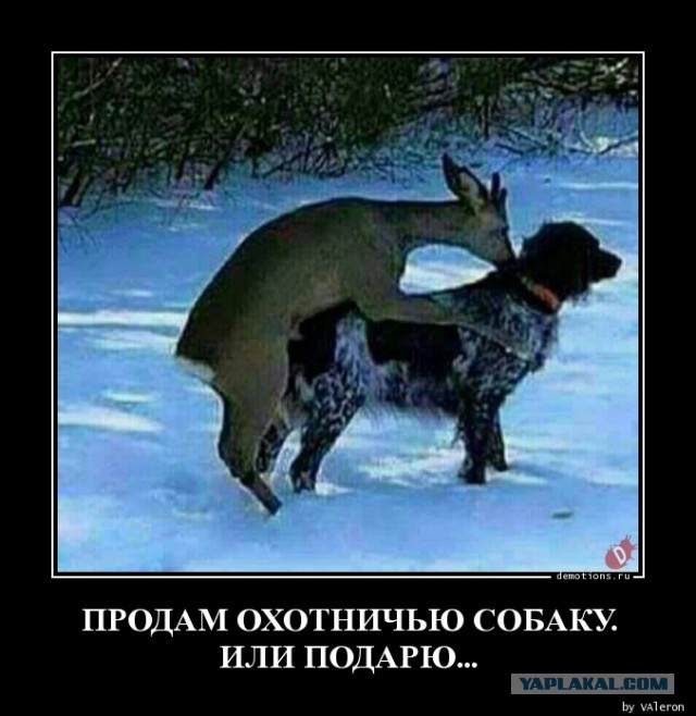 Такая вот беда у человека