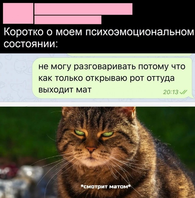 Юмор в картинках и без