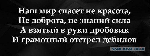 Родной брат напал на главу СУ СКР по Красногорску