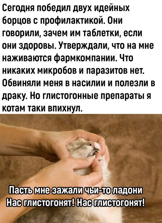 Так себе картинки 12.07.23
