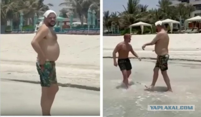 Всего лишь 20 лет назад