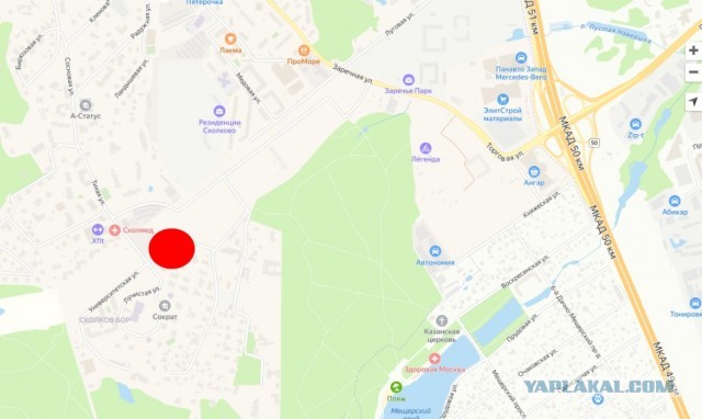 Известного режиссёра Светлану Джимбинову нашли мёртвой в её квартире в Москве